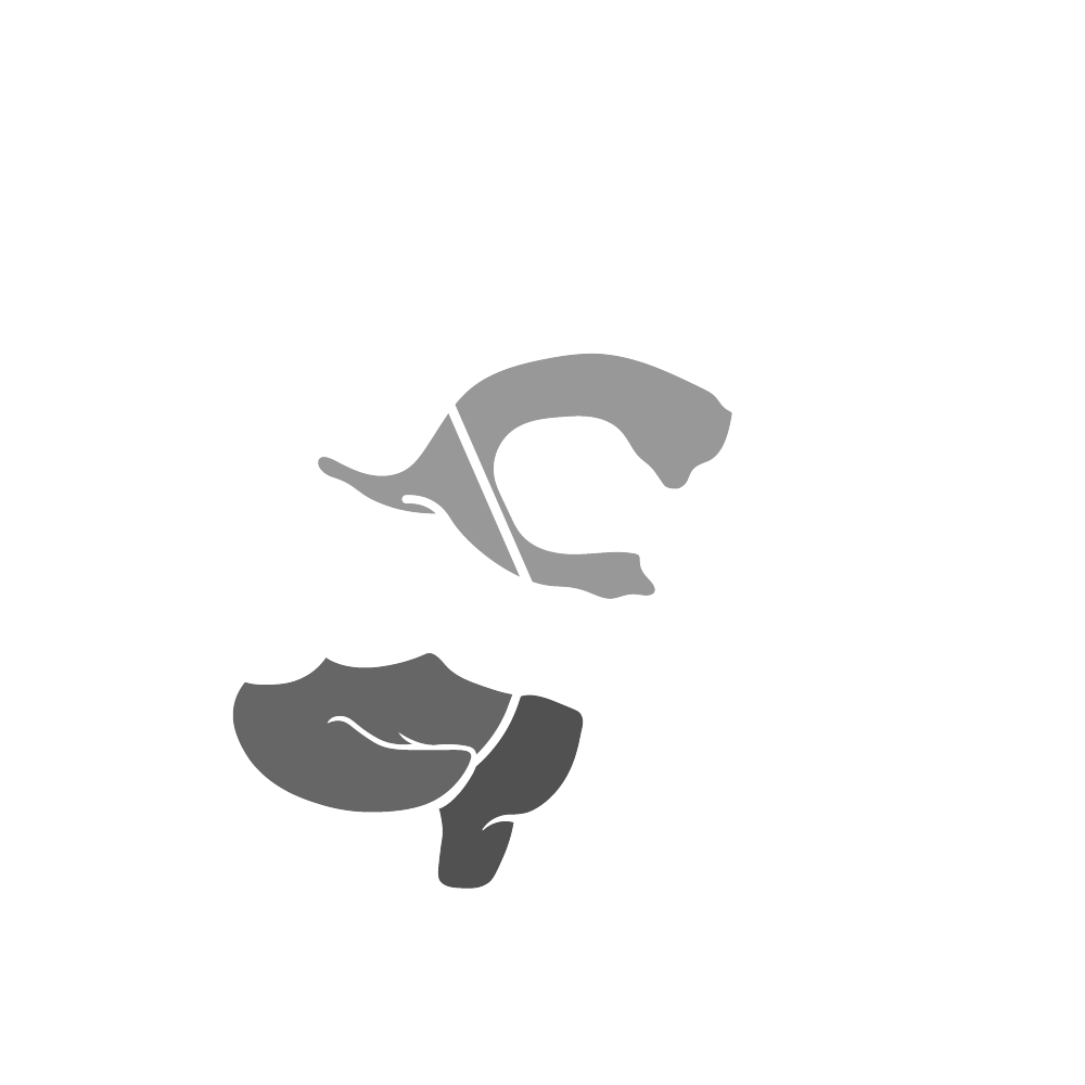 Neuroestrella logo